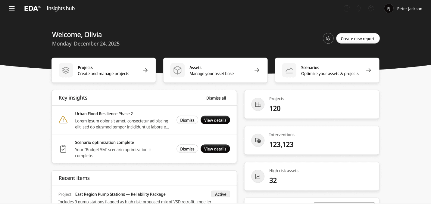 The Insights hub of the EDA platform: key insights and recent items beside project counters and an assets overview.