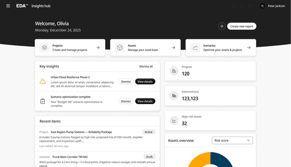 The Insights hub of the EDA platform: a welcome header over key insights, recent items and asset counters.